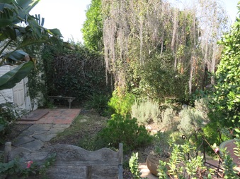 Enlarge photo 30