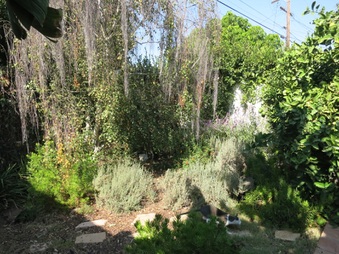Enlarge photo 31