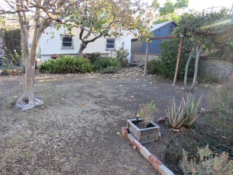 Enlarge photo 40