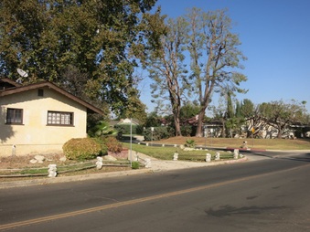Enlarge photo 17