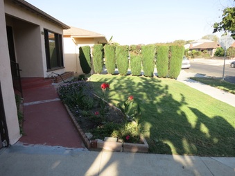 Enlarge photo 7