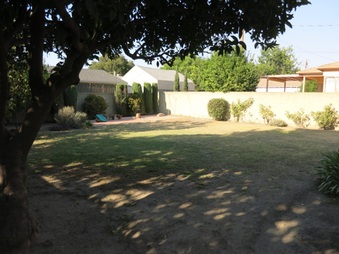 Enlarge photo 16