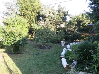 Enlarge photo 23