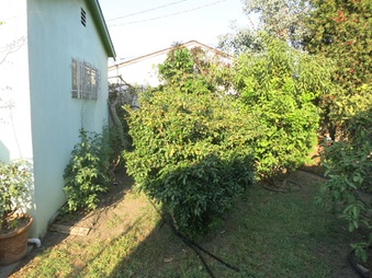 Enlarge photo 24