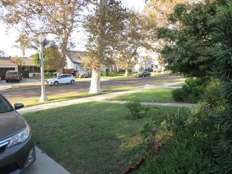 Enlarge photo 26