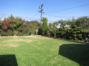 Enlarge photo 28