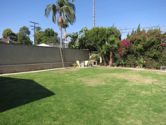 Enlarge photo 29