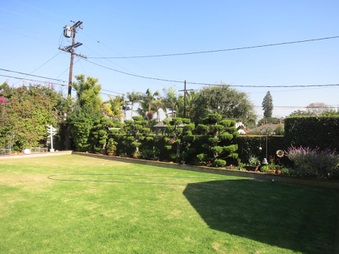 Enlarge photo 30