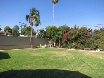 Enlarge photo 31