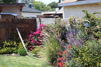 Enlarge photo 112