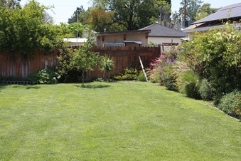 Enlarge photo 117