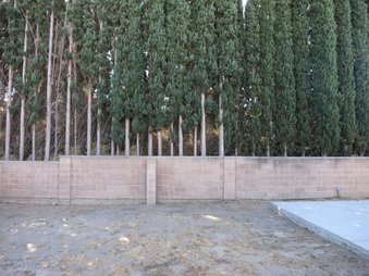 Enlarge photo 32