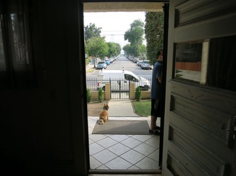 Enlarge photo 13
