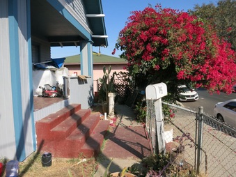 Enlarge photo 10