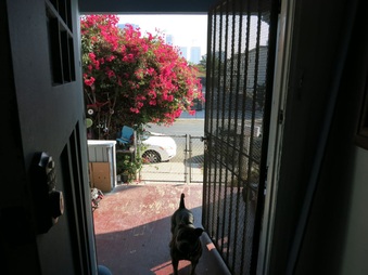 Enlarge photo 14