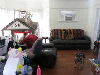 Enlarge photo 17