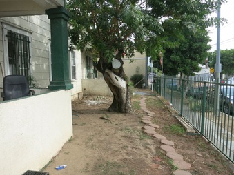 Enlarge photo 14