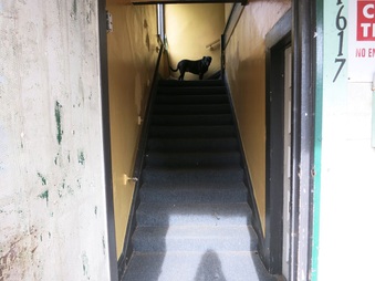 Enlarge photo 16