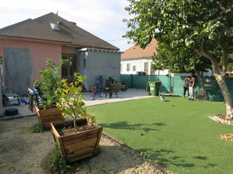 Enlarge photo 43