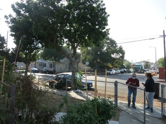 Enlarge photo 7
