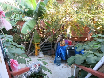 Enlarge photo 31