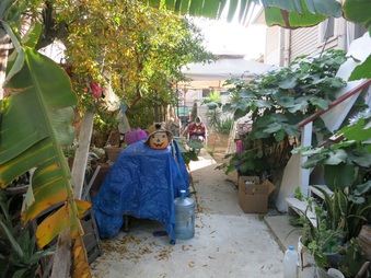Enlarge photo 33