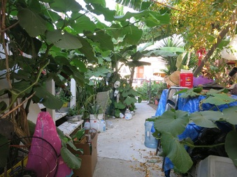 Enlarge photo 34