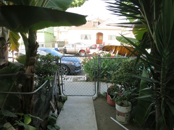 Enlarge photo 35