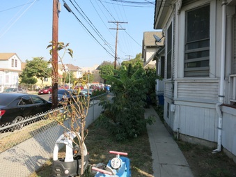 Enlarge photo 39