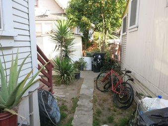 Enlarge photo 54