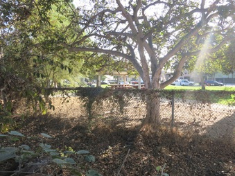 Enlarge photo 46