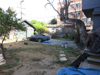 Enlarge photo 15