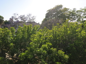 Enlarge photo 81