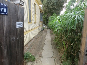 Enlarge photo 35