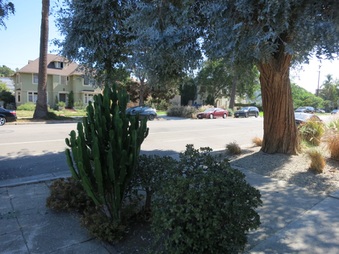 Enlarge photo 10