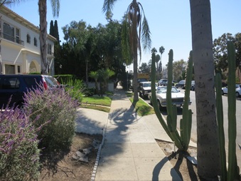 Enlarge photo 7