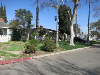 Enlarge photo 4