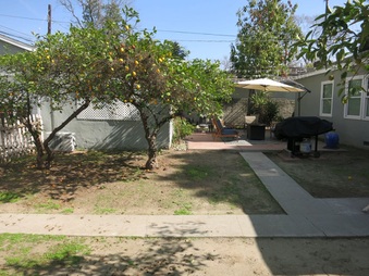 Enlarge photo 41