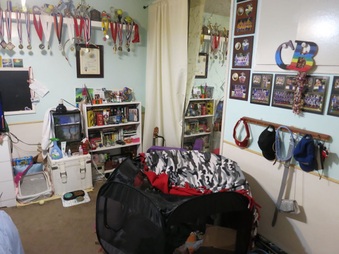 Enlarge photo 29