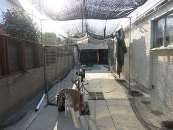 Enlarge photo 45