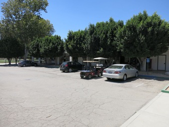 Enlarge photo 6