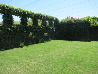 Enlarge photo 37