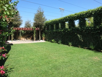 Enlarge photo 39