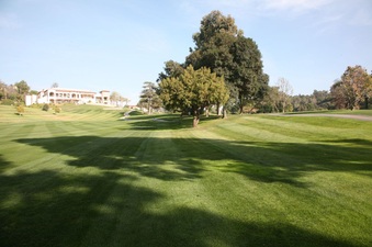 Enlarge photo 46