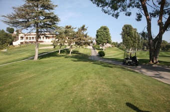 Enlarge photo 49