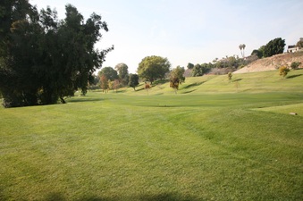 Enlarge photo 50