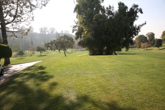 Enlarge photo 51