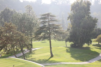 Enlarge photo 52