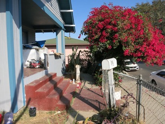 Enlarge photo 10