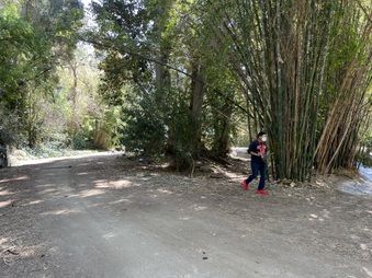 Enlarge photo 5